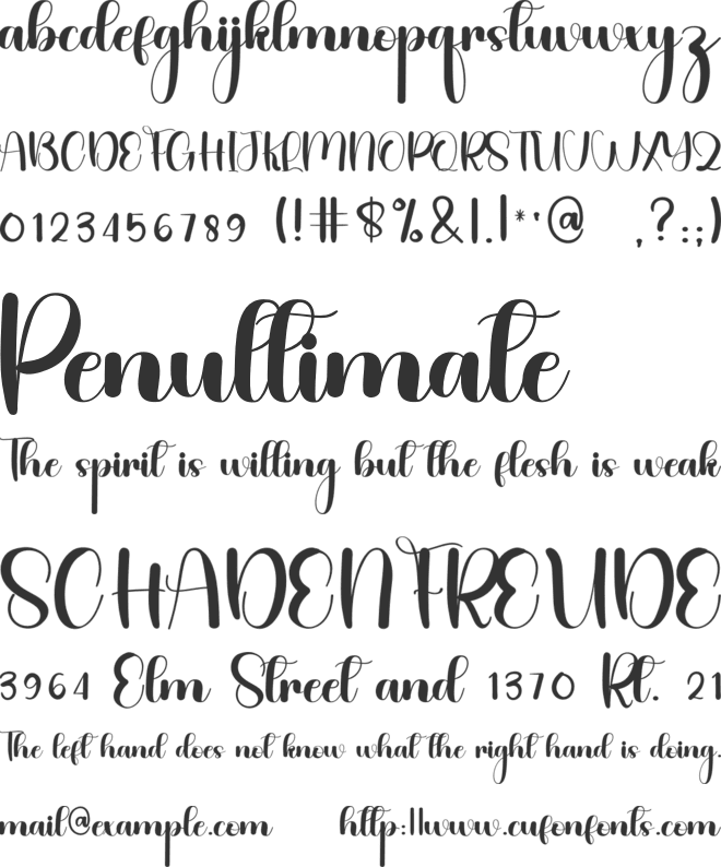 Dairy font preview