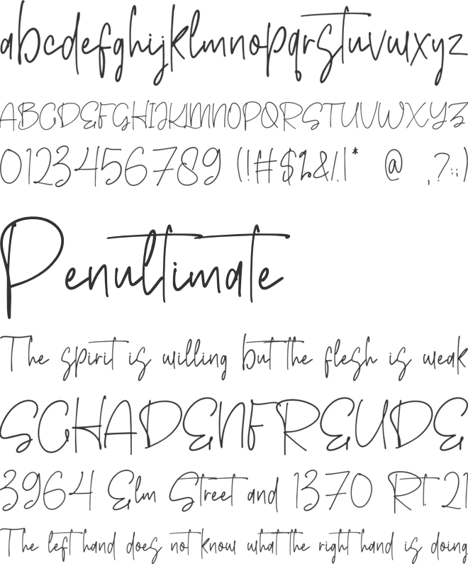 Conellista font preview