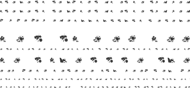 Butterfly Floral Monogram font preview