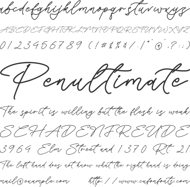 Silent Orchid font preview