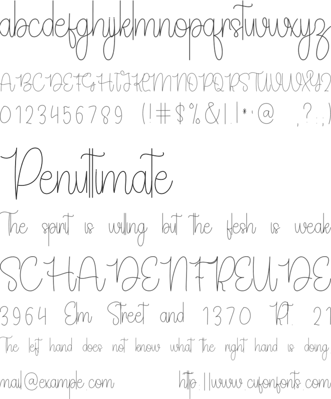 Birthday Signature font preview