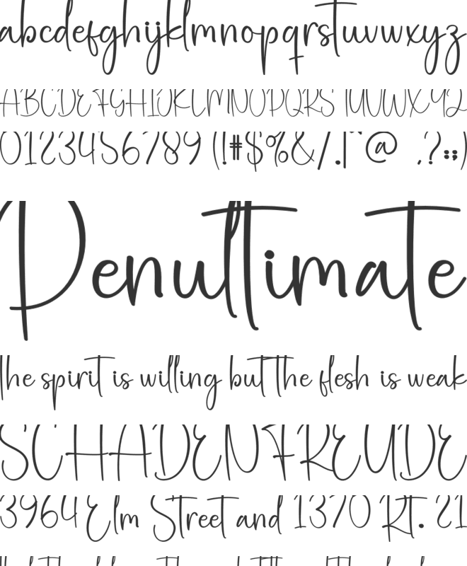 Winterstory font preview