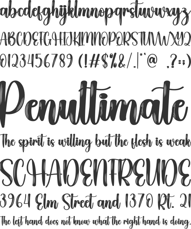 Budgetary font preview