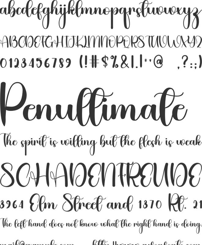 Charity font preview