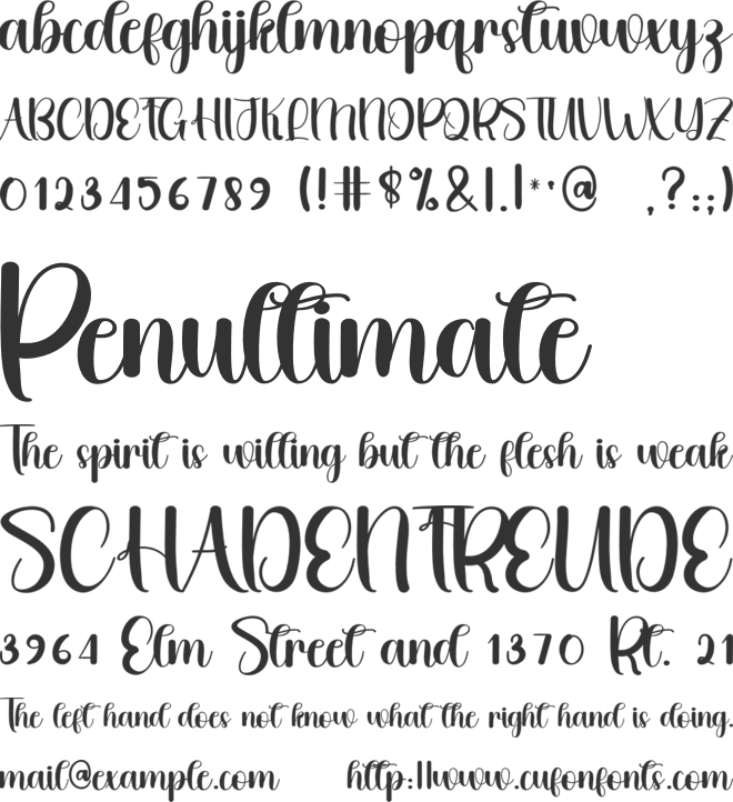 Panther font preview