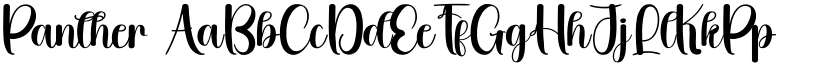 Panther font
