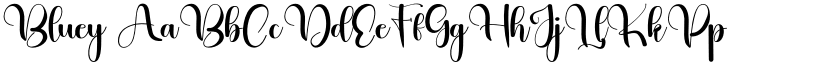 Bluey font