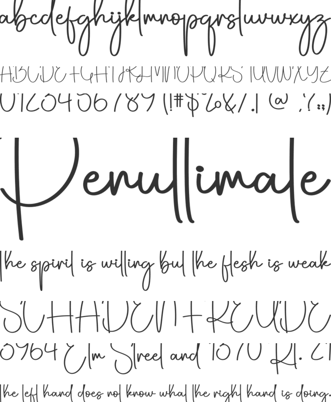 Stockingcute font preview