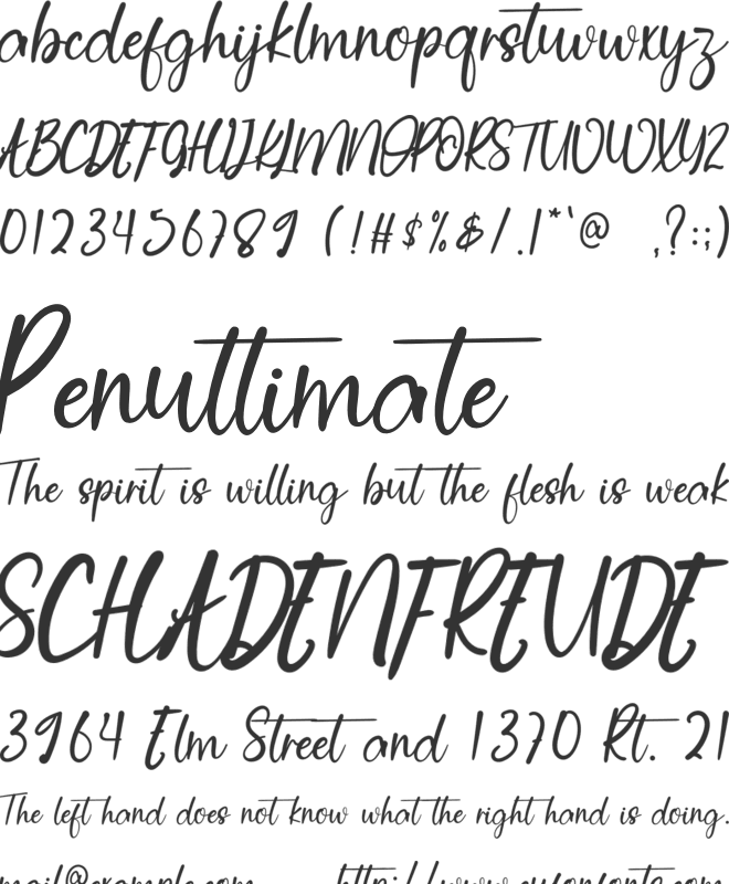 Wedding Decoration font preview