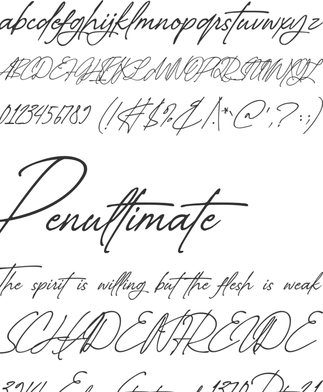 The Momentra font preview