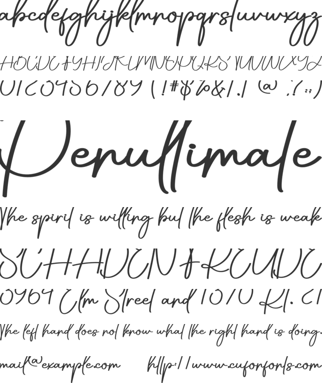 Everynight font preview
