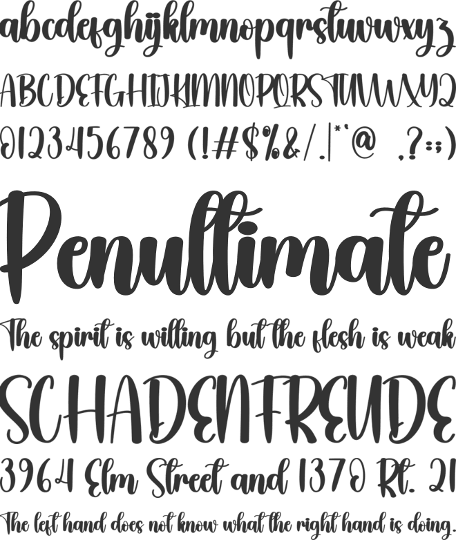 Christmas Vintage font preview