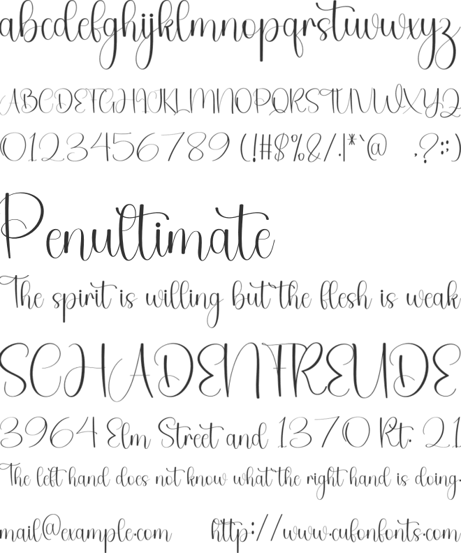 Hollyberry font preview