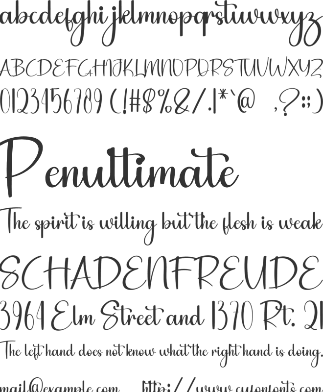 Wedding Holiday font preview