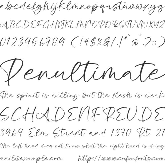 Grande Amstera font preview