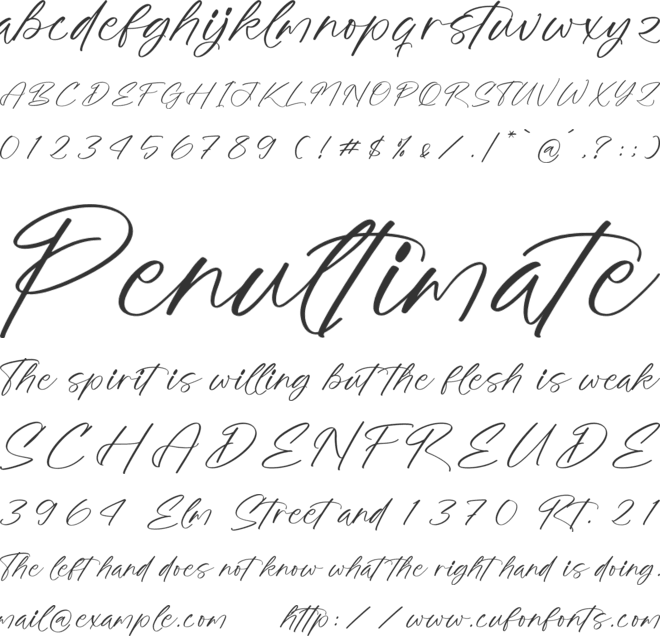 Palmeras Sherffy font preview