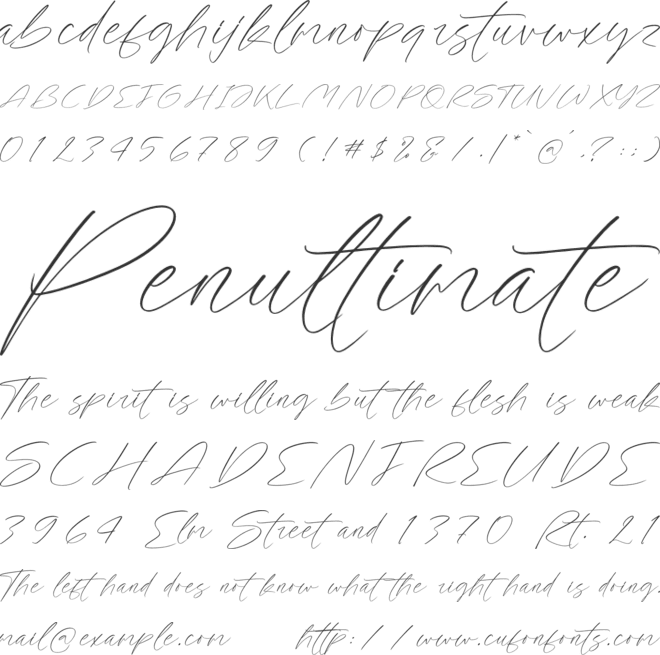 Artfully Stylish font preview