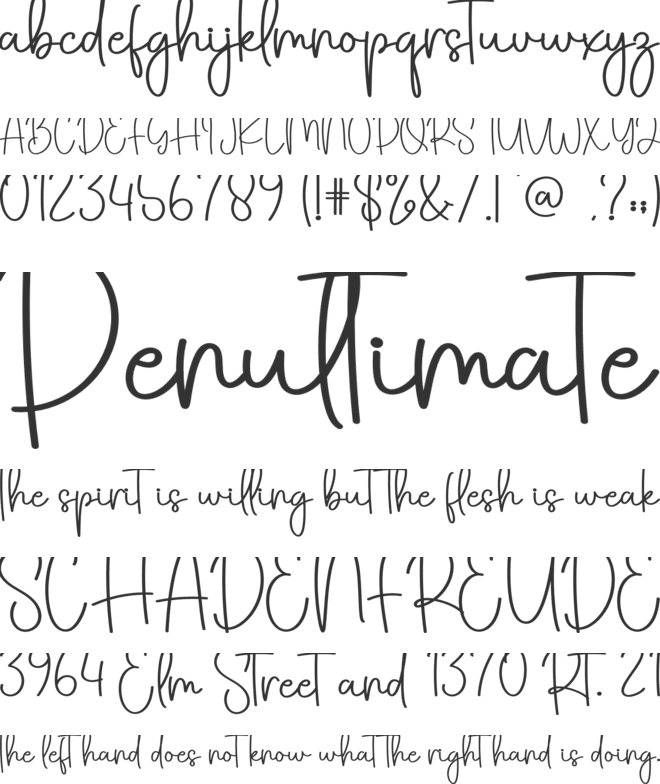 Snowhouse font preview