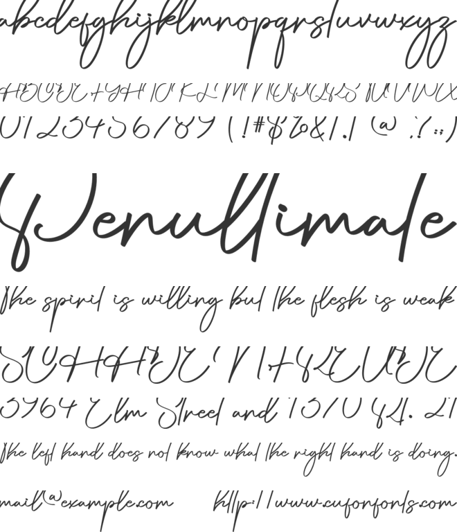 Special Christmas font preview