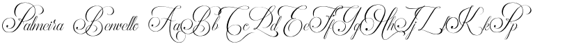 Palmeira Benvello font