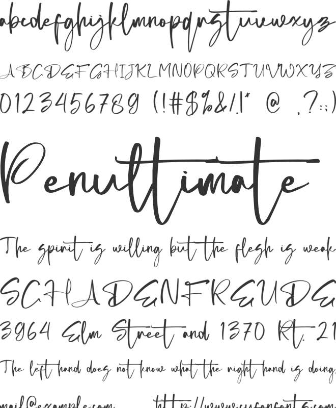 Amallicita font preview