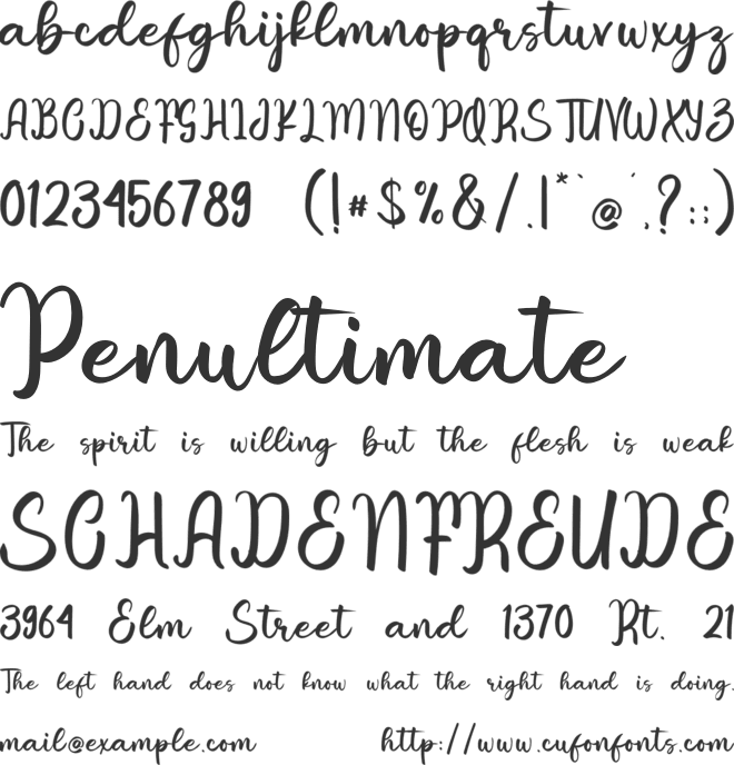 Tropical Morning font preview