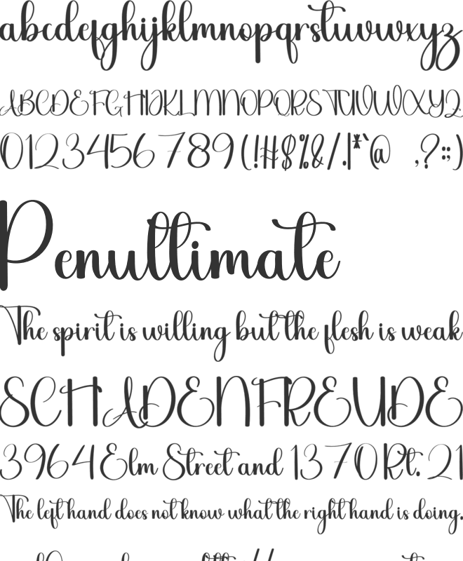 Stephany font preview