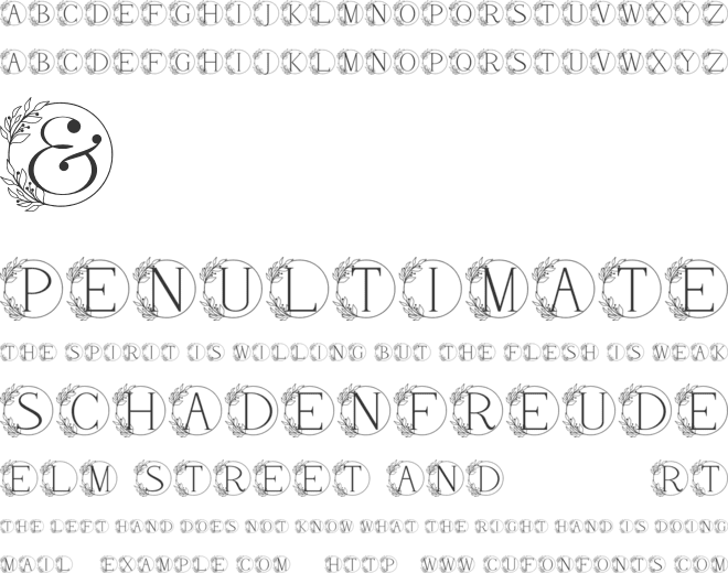 Wildflower Monogram font preview