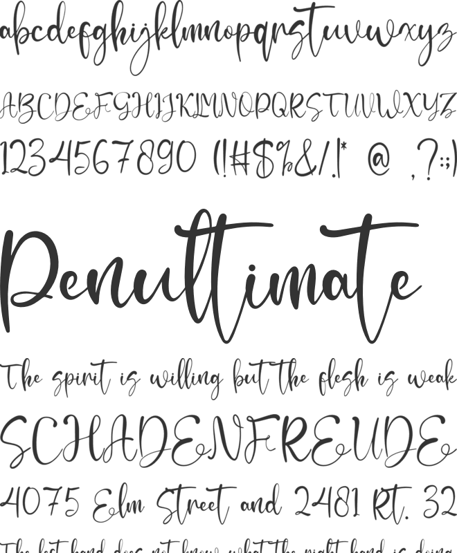 Moettiara font preview