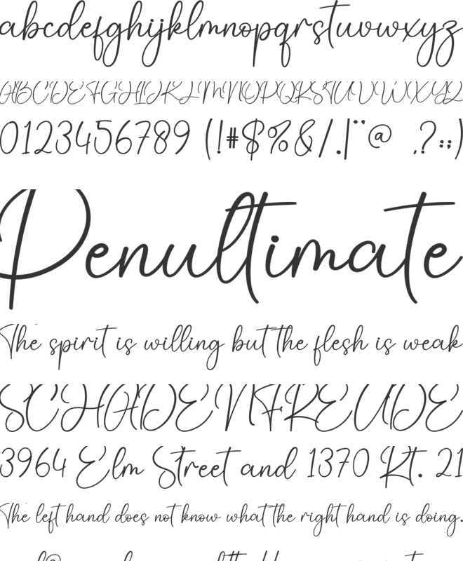 Vintage Smothies font preview