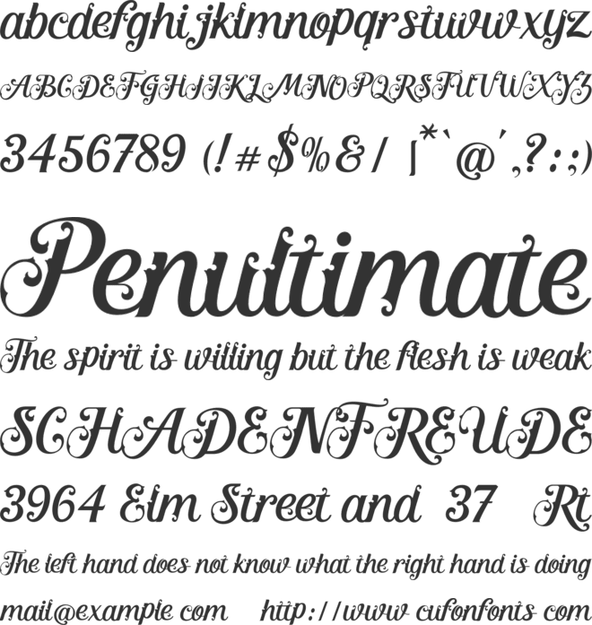 Kingston font preview