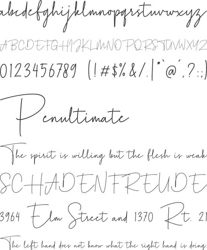 Agustine Signature font preview