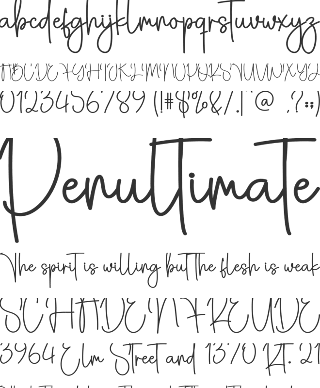 Christmas Birthday font preview