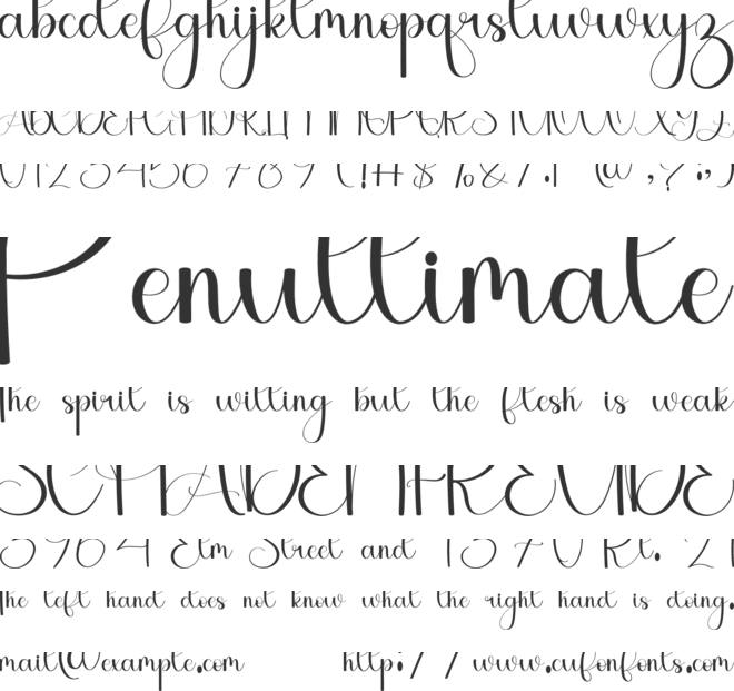 Holiday Saturday font preview