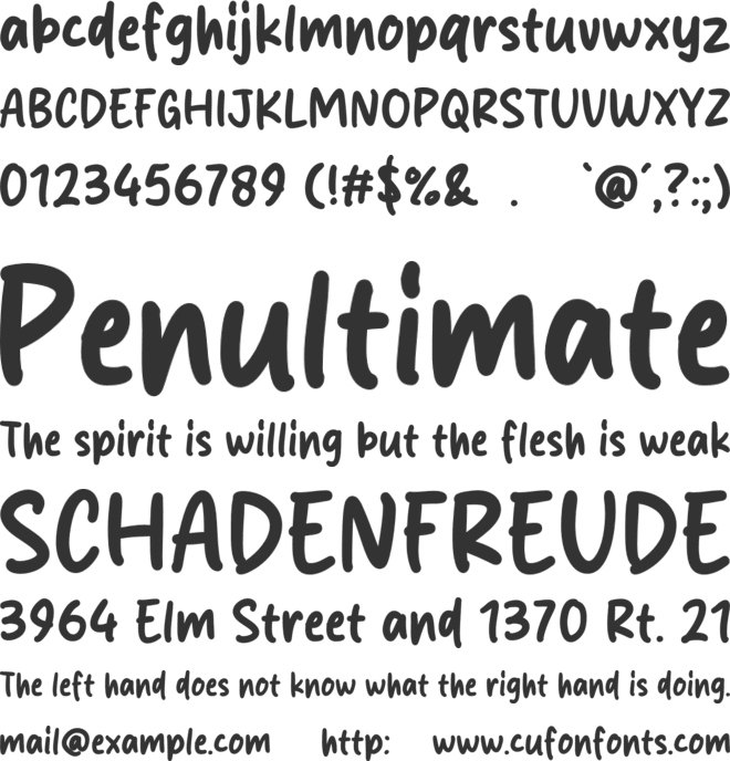 Salad Chicken font preview