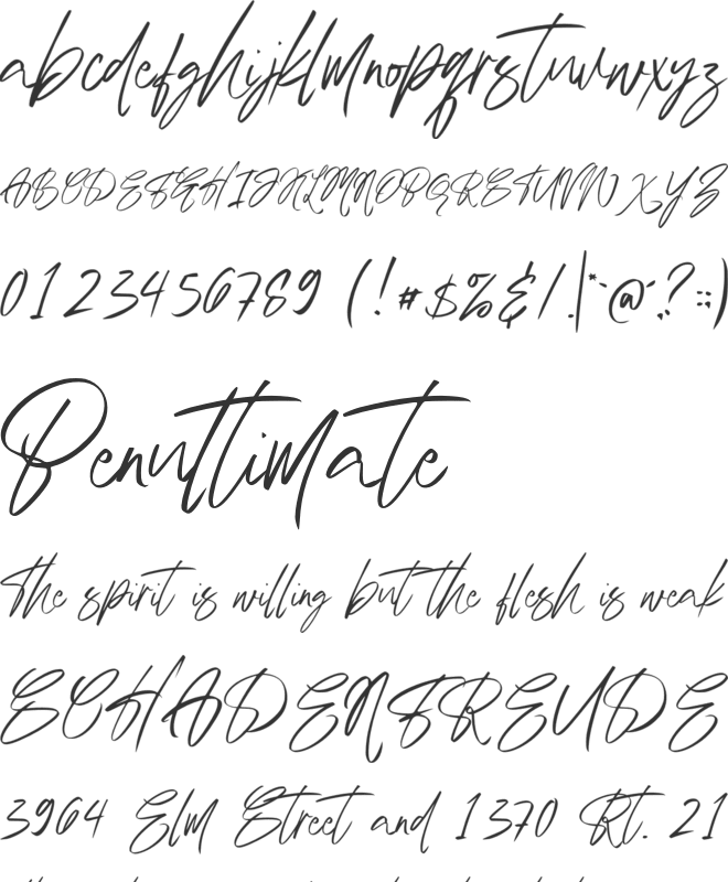 Austand Signature font preview