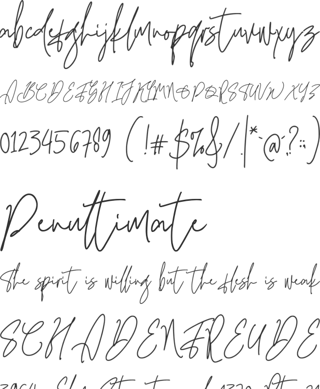 Qinderia Signature font preview