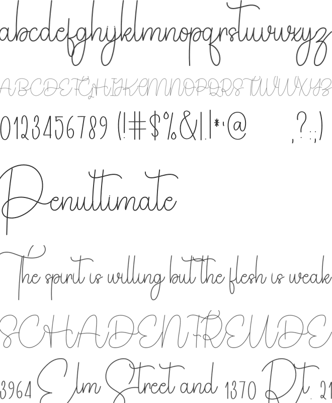Fantastic Signature font preview