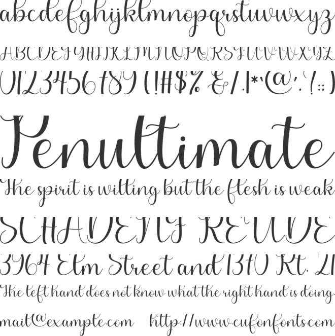 Wonderful Script font preview