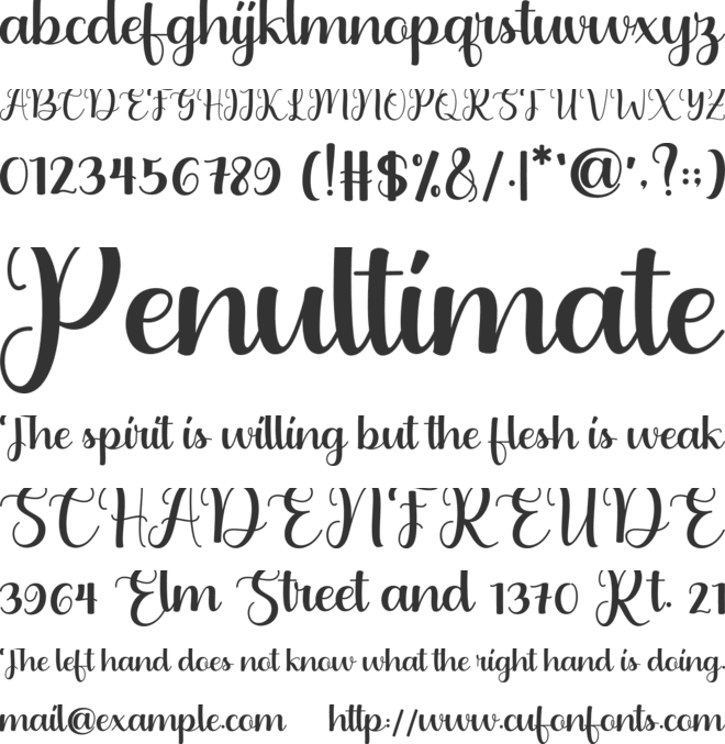 Audigia Script font preview