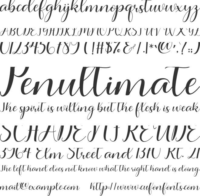 Aishagia Script font preview