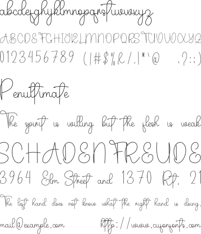 This Stylish font preview