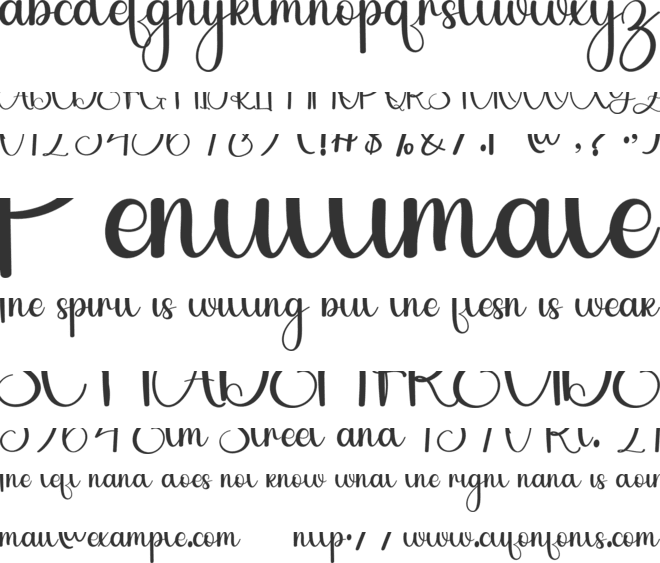 Wish Boho font preview