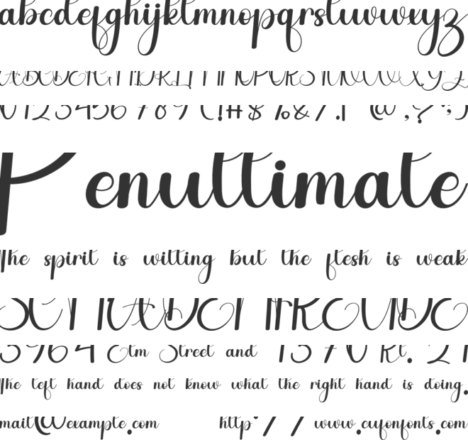 Amazing Calligraphy font preview