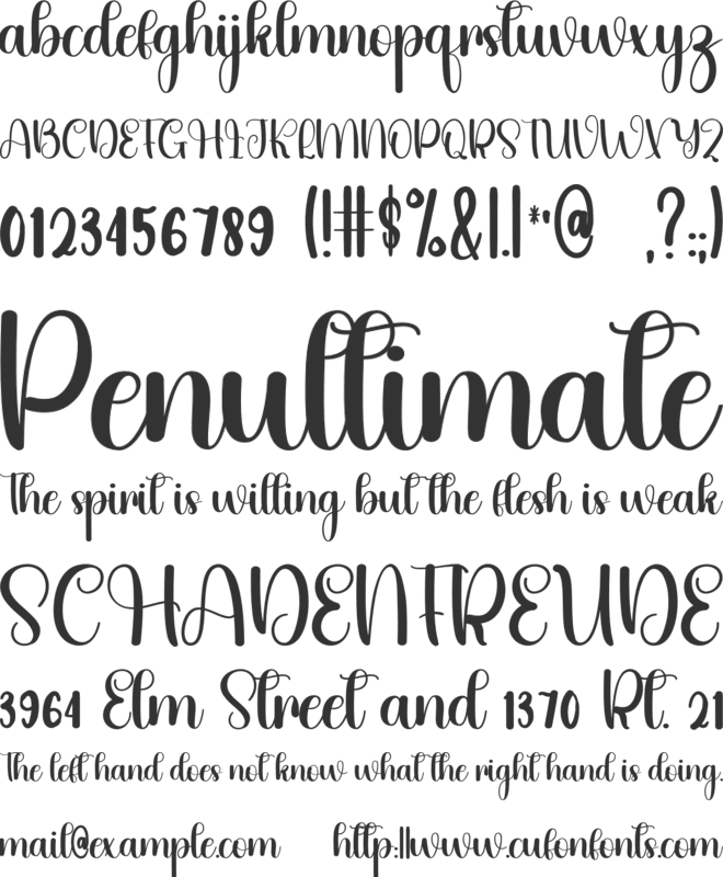 This Ladies font preview