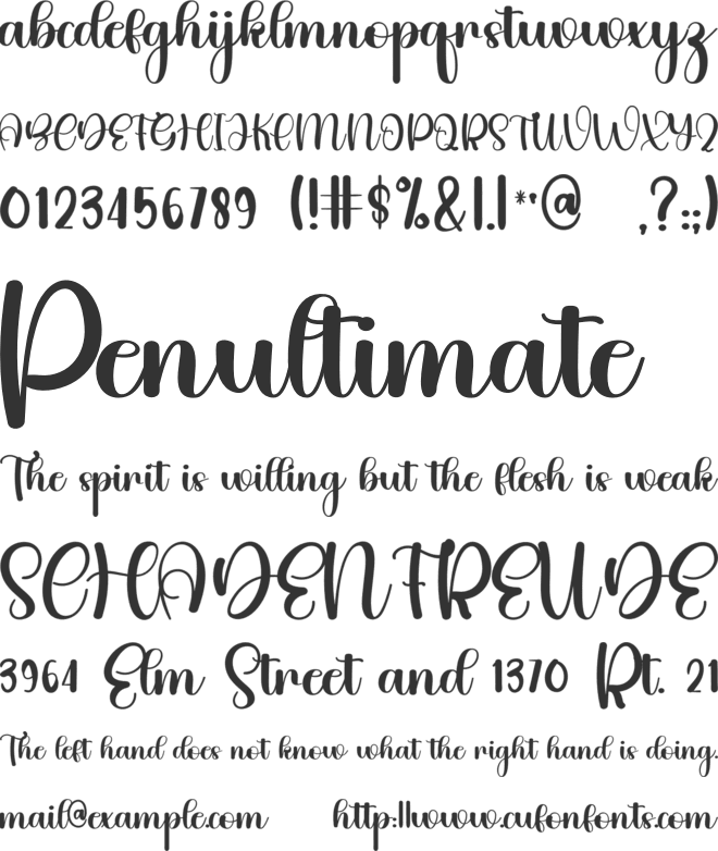 Autentic font preview