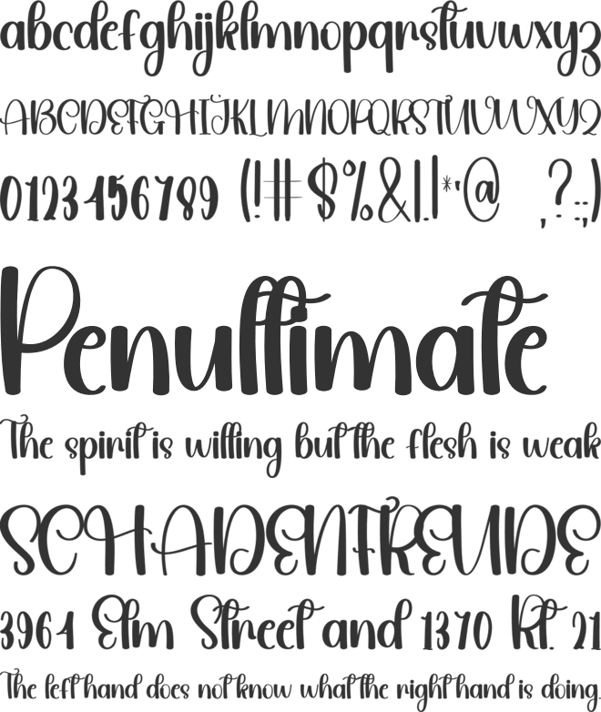 Butterfly Monday font preview