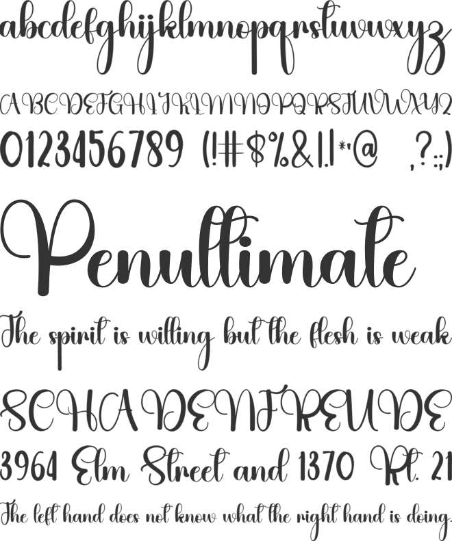 Hallo Theacer font preview