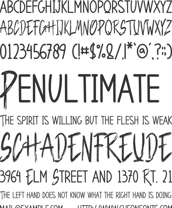 Raviola font preview