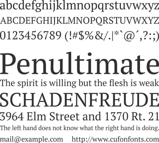 PT Serif font preview